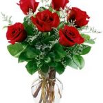 6 ROSES ROUGES