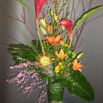 EXPLOSION DE COULEUR