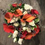 Callas orange